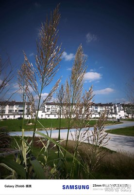 【秋冬時光】+公園一角