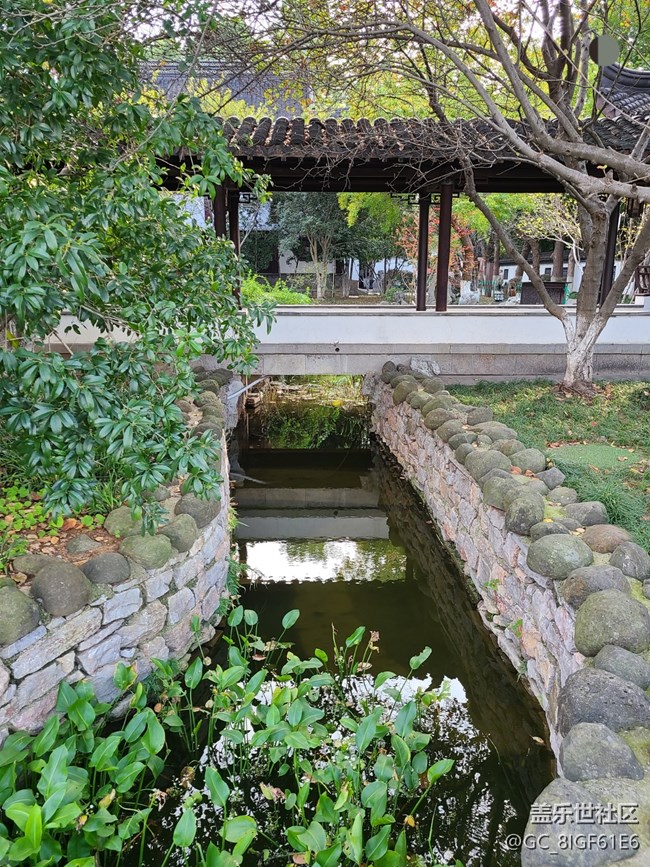 【城市的秋日印記】秋天的公園