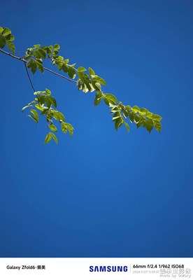 【秋冬時光】+藍(lán)天白云