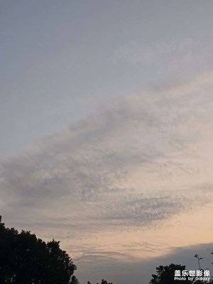 【秋冬時(shí)光】+?深秋