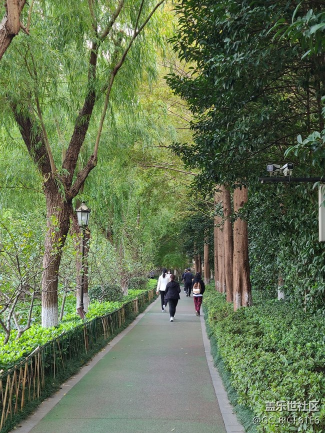 【城市的秋日印記】秋天的公園