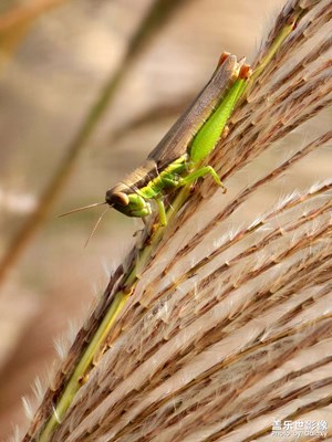 【秋冬時光】人間忽晚 山河已秋