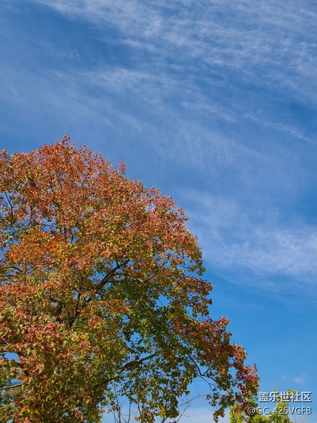 【紅韻流彩】紅韻秋天