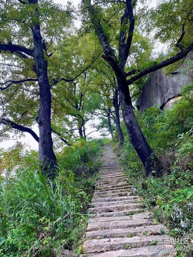 【Galaxy影像】自然的律動+ 爬山