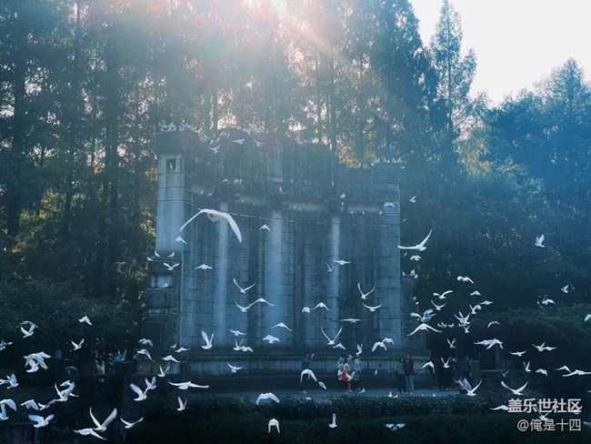 【Galaxy影像】自然的律動(dòng)+ 喂鴿子