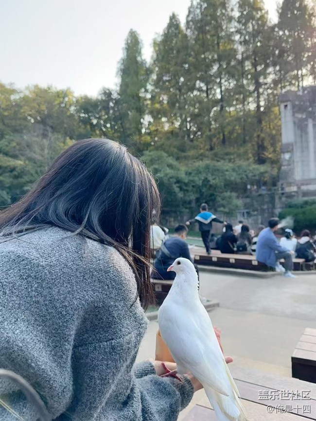 【Galaxy影像】自然的律動(dòng)+ 喂鴿子