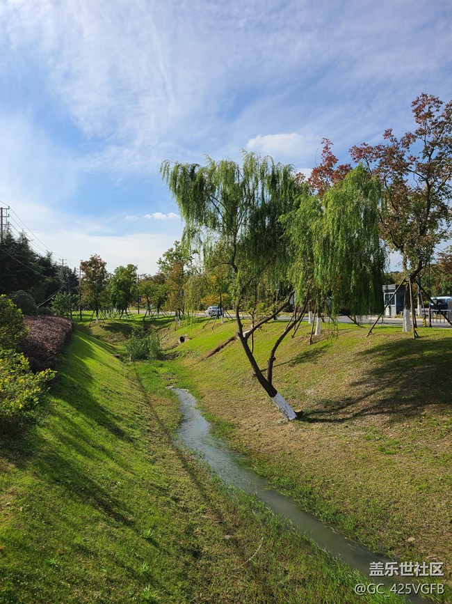 【城市的秋日印記】城中秋色