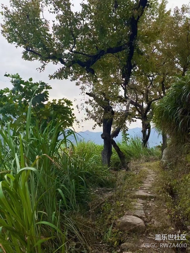 【Galaxy影像】自然的律動+ 爬山