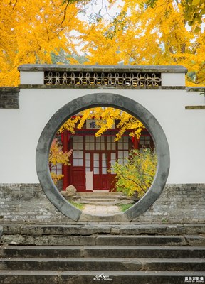 Galaxy S23 Ultra  秋憶