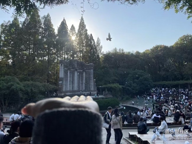 【Galaxy影像】自然的律動(dòng)+ 喂鴿子