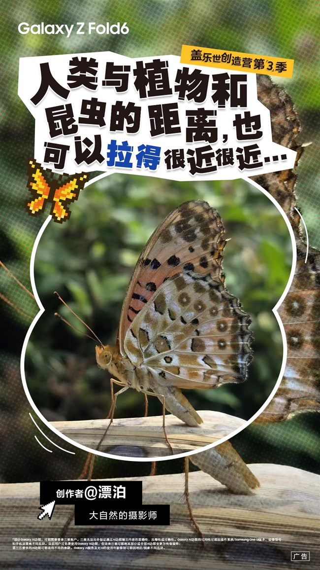 創(chuàng)造營精彩作品七期——“社?！背鰶]請注意！