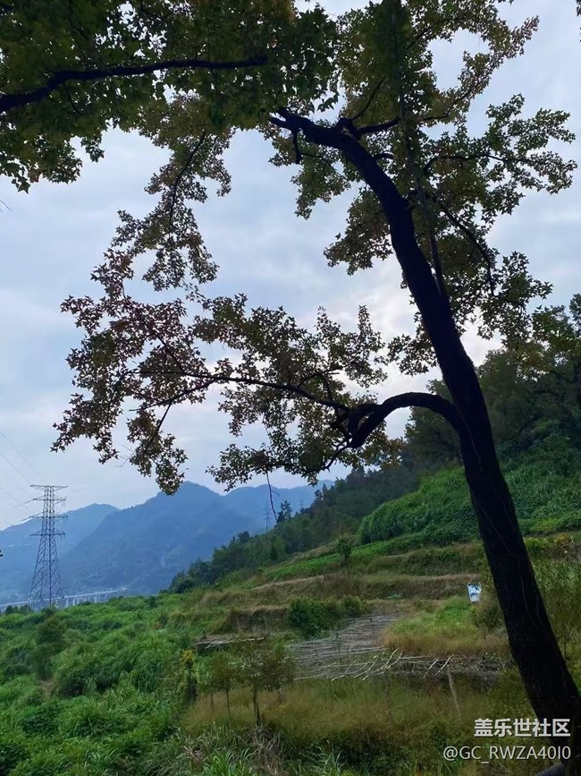 【Galaxy影像】自然的律動+ 爬山