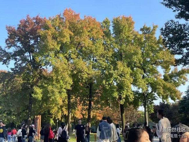 【Galaxy影像】自然的律動(dòng)+ 喂鴿子