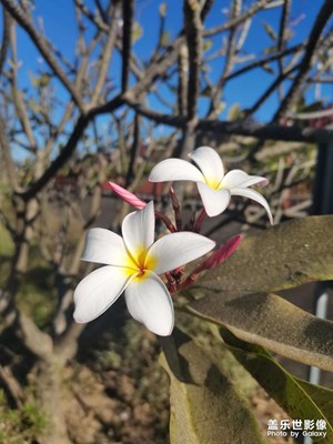 【秋冬時(shí)光】暖冬