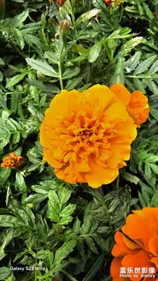 【秋冬時光】+?捕捉時光