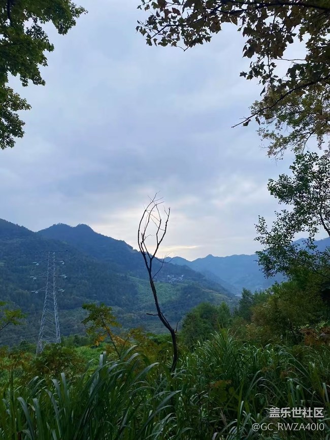 【Galaxy影像】自然的律動+ 爬山