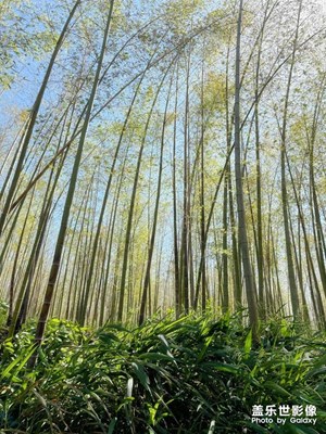 【秋冬時光】凄