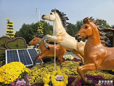 【秋冬時光】+秋景秋菊