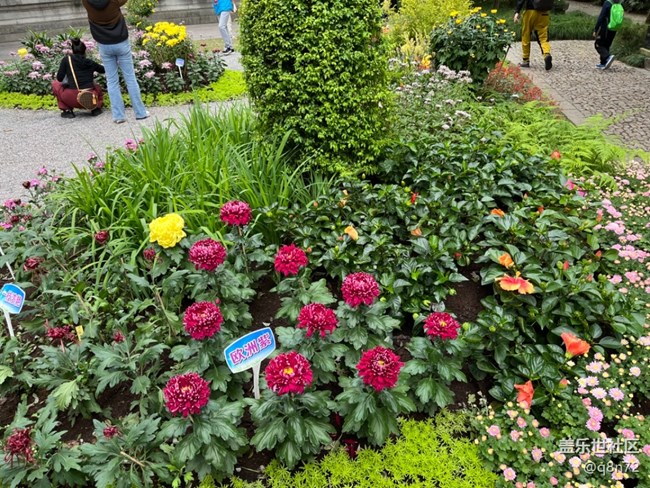 【匯龍?zhí)毒栈ㄕ咕€下攝影活動(dòng)】+活動(dòng)回顧