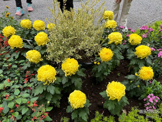 【匯龍?zhí)毒栈ㄕ咕€下攝影活動(dòng)】+活動(dòng)回顧