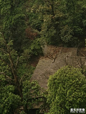 幾個月前的龍虎山之旅