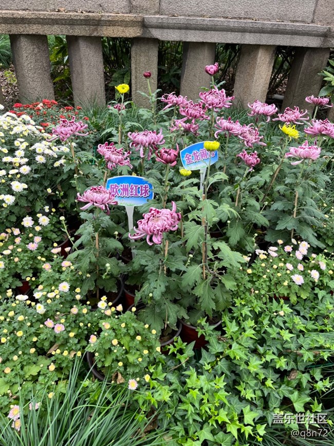 【匯龍?zhí)毒栈ㄕ咕€下攝影活動(dòng)】+活動(dòng)回顧