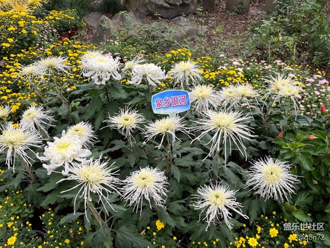 【匯龍?zhí)毒栈ㄕ咕€下攝影活動(dòng)】+活動(dòng)回顧