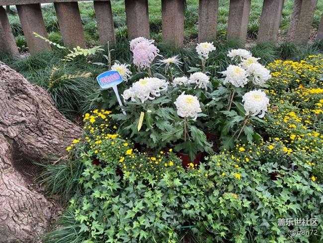 【匯龍?zhí)毒栈ㄕ咕€下攝影活動(dòng)】+活動(dòng)回顧