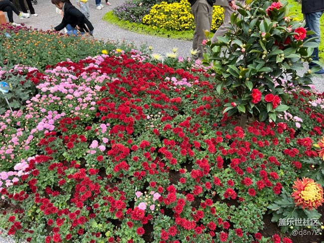 【匯龍?zhí)毒栈ㄕ咕€下攝影活動(dòng)】+活動(dòng)回顧