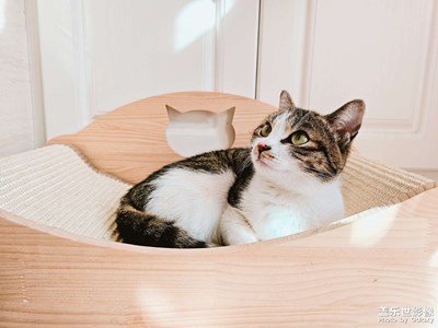 【lucky】我們可乖可吃人！