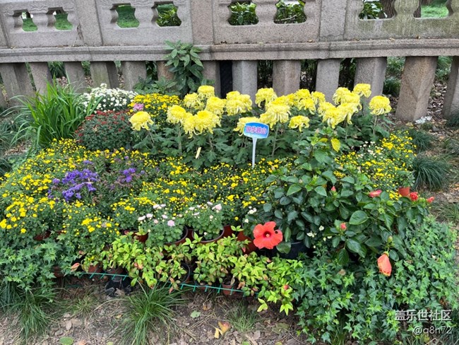 【匯龍?zhí)毒栈ㄕ咕€下攝影活動(dòng)】+活動(dòng)回顧