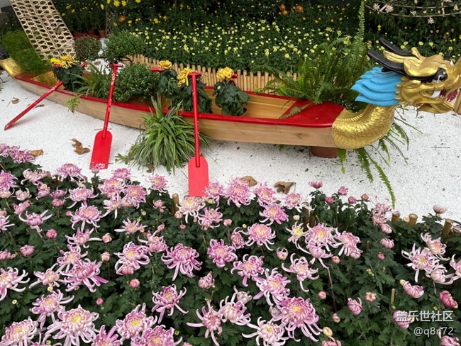 【匯龍?zhí)毒栈ㄕ咕€下攝影活動(dòng)】+活動(dòng)回顧