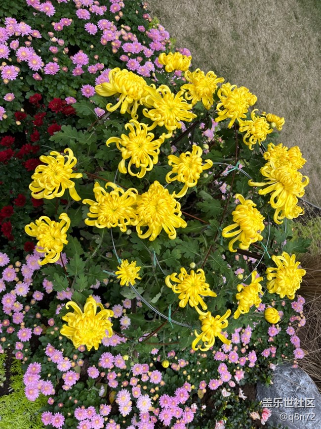 【匯龍?zhí)毒栈ㄕ咕€下攝影活動(dòng)】+活動(dòng)回顧