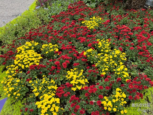 【匯龍?zhí)毒栈ㄕ咕€下攝影活動(dòng)】+活動(dòng)回顧