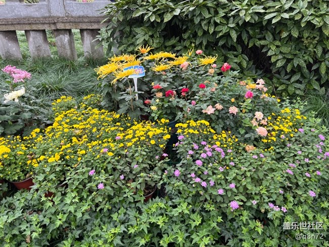 【匯龍?zhí)毒栈ㄕ咕€下攝影活動(dòng)】+活動(dòng)回顧