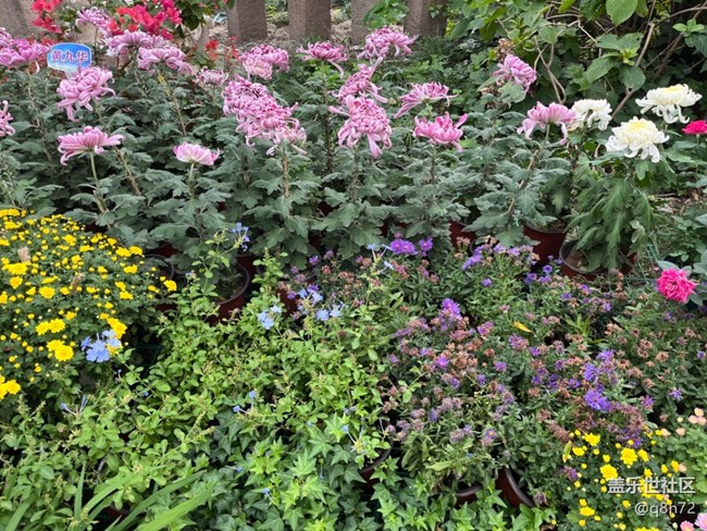 【匯龍?zhí)毒栈ㄕ咕€下攝影活動(dòng)】+活動(dòng)回顧