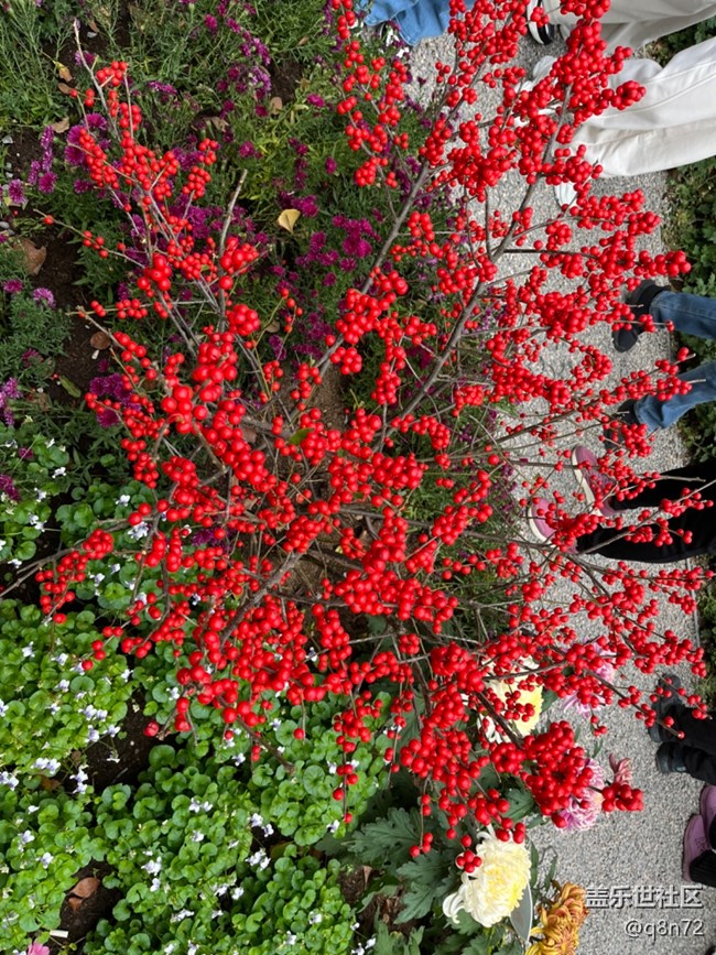 【匯龍?zhí)毒栈ㄕ咕€下攝影活動(dòng)】+活動(dòng)回顧