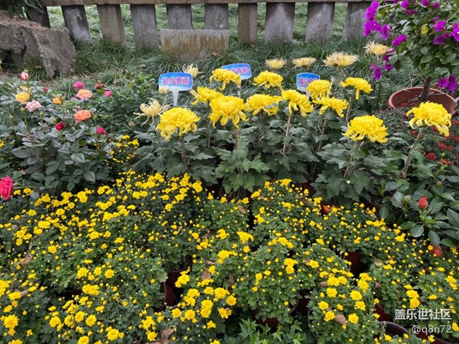 【匯龍?zhí)毒栈ㄕ咕€下攝影活動(dòng)】+活動(dòng)回顧