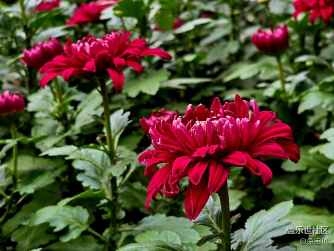 【匯龍?zhí)毒栈ㄕ咕€下攝影活動】+自動濾鏡