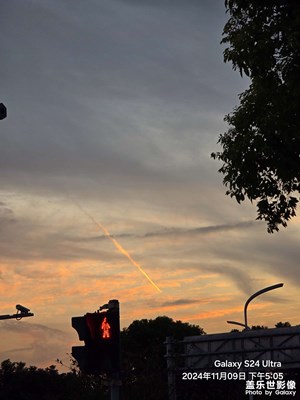 每天發(fā)個帖子，感覺就像是在完成一個特別的小任務呢！