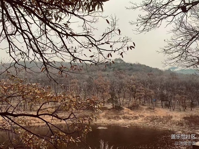 【初冬來】春夏秋冬四季輪回，沈城初冬悄然來臨.......