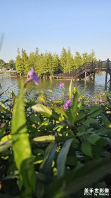 【秋冬時(shí)光】+ 花花草草