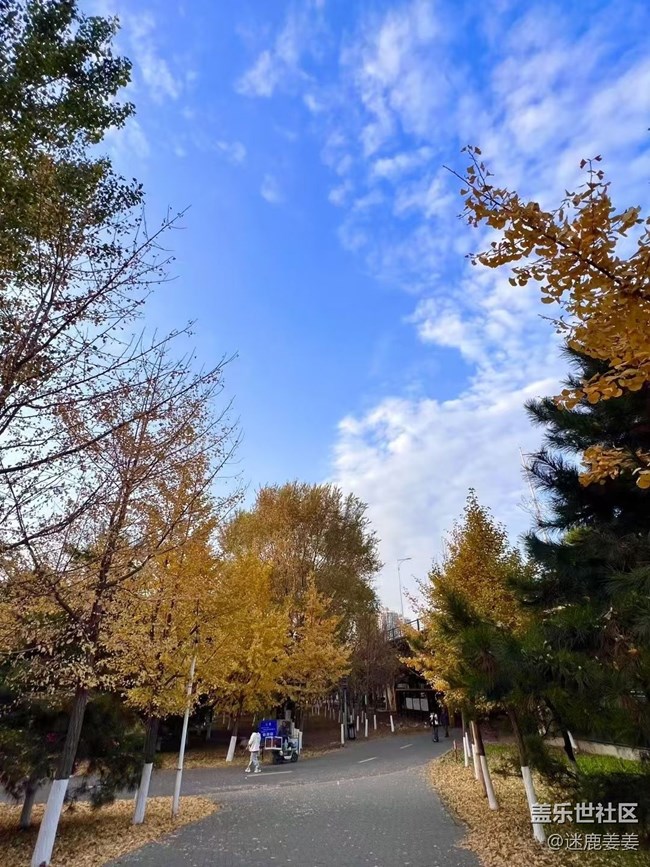 【初冬來】初冬雖悄然而至，秋意秋韻仍濃！