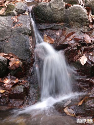 【秋冬時(shí)光】+ 秦嶺深秋