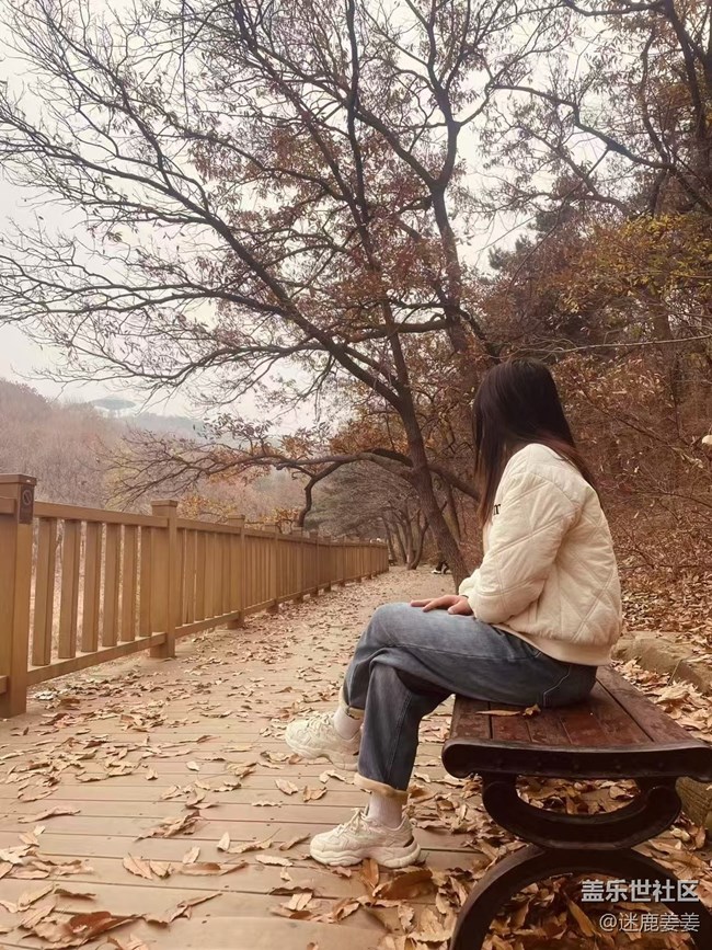 【初冬來】春夏秋冬四季輪回，沈城初冬悄然來臨.......