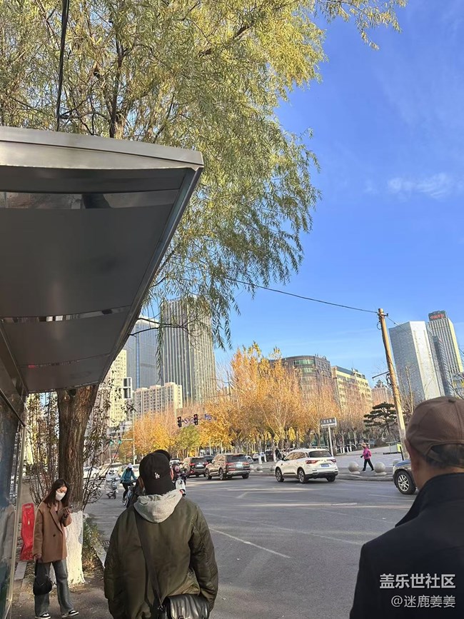 【初冬來】上班路上，路人行色匆匆