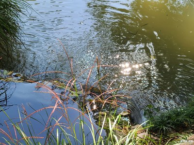 【秋冬時光】美好時光