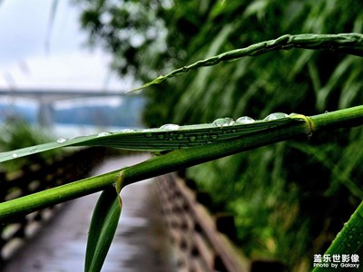 【秋冬時(shí)光】+ 雙11之少花錢多走路