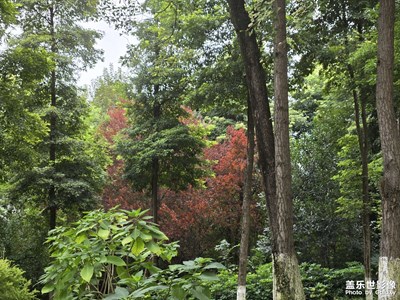 【秋冬時(shí)光】+?城市的清晨