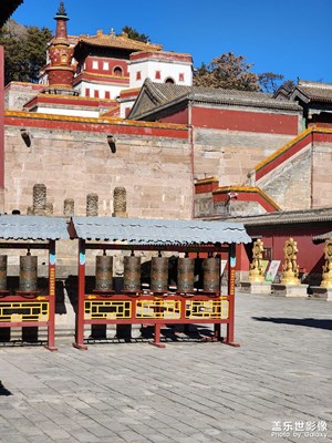 【秋冬時光】+流浪的中的一些隨拍